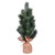  Vickerman LF203419 19" Blue Spruce Sapling Tree Burlap Base 
