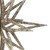 Vickerman M148338 16" Champagne 3D Glitter Star