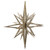 Vickerman M148338 16" Champagne 3D Glitter Star