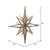 Vickerman M148338 - 16 inch Champagne Glitter Star Christmas Ornament