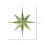 Vickerman M167573 15.75" Lime Glitter Bethlehem Star