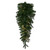 Vickerman K224439LED - 36" Douglas Fir Teardrop Wreath with Warm White LED Lights