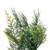  Vickerman FJ214428 28" Mixed Fern Cedar Wreath 
