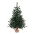 Vickerman B160442 42" Anoka Pine Christmas Christmas Tree