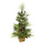Vickerman D180440 4' Larkspur Pine Christmas Christmas Tree