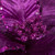 Vickerman RG221366 - 24 in. Purple Velvet Poinsettia Artificial Spray