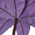 Vickerman RG221386 - 24 in. Lavender Velvet Poinsettia Artificial Spray