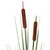  Vickerman TN170301-4 42" Artificial Grass Cattail Spray 4 Pack 
