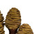Vickerman H1PLC000 18-24" Cream Platy Cone on Stem - 10/Pk 
