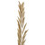 Vickerman H7RSN000 27" Rahul Stick Natural stems 8/bu 