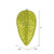  Vickerman N187273D 7" Lime Matte Glitter Pinecone 4/Bag 