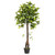  Vickerman T161250 50" Artificial Camellia Tree in Pot in Pot 