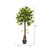  Vickerman T161250 50" Artificial Camellia Tree in Pot in Pot 