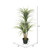  Vickerman TA170301 40" Artificial Plastic Green Yucca in Pot 