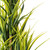  Vickerman TA170301 40" Artificial Plastic Green Yucca in Pot 