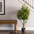  Vickerman TA170701 4ft Artificial Real Touch Orange Tree in Pot 