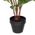  Vickerman TA181335 35" Artificial Green Zebra in Pot Real Tch 
