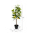  Vickerman TA190128 28" Artificial Lemon Tree in Black Pot 