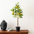  Vickerman TA190128 28" Artificial Lemon Tree in Black Pot 
