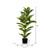  Vickerman TA193038 38" Artificial Dieffenbachia Real Touch 