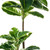  Vickerman TA193050 50" Artificial Dieffenbachia Real Touch 