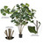  Vickerman TB170460 5ft Artificial Green Fiddle Tree in Pot 