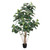  Vickerman TB170772 6ft Artificial Green Rubber Tree in Pot 
