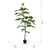  Vickerman TB170872 6ft Artificial Green Nandina Tree in Pot 