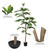  Vickerman TB170872 6ft Artificial Green Nandina Tree in Pot 