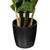  Vickerman TB170904 52" Artificial Zamifolia Bush in Pot 