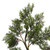  Vickerman TB180148 4ft Artificial Cedar Tree in Pot 