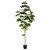  Vickerman TB180472 6ft Artificial Fig Tree in Pot 
