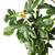  Vickerman TB180472 6ft Artificial Fig Tree in Pot 