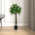  Vickerman TB190330 3ft Artificial Bay Leaf Topiary in Pot 