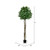  Vickerman TB190360 6ft Artificial  Bay Leaf Topiary in Pot 