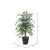  Vickerman TBU0240-0414 4ft Artificial Variegated Ficus Bush in Willow Pot 