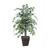  Vickerman TBU0240-0414 4ft Artificial Variegated Ficus Bush in Willow Pot 