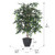  Vickerman TBU4240-RG 4ft Artificial Mini Ficus Bush in Gray Pot 