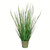  Vickerman TD190434 34" Green Reed Grass In Iron Pot 
