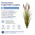 Vickerman TD190660 5ft Green Cattail Grass In Iron Pot 