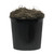  Vickerman TDX0260-07 6ft Artificial Variegated Ficus Deluxe Tree in Black Pot 