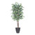  Vickerman TDX0260-RG 6ft Artificial Variegated Ficus Deluxe Tree in Gray Pot 