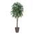  Vickerman TDX1460-RB 6ft Artificial Green Smilax Tree in Pot 