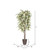  Vickerman TDX1760-RB 6ft Artificial Frosted Maple Tree in Pot 