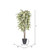  Vickerman TDX1760-RG 6ft Artificial Frosted Maple Tree in Pot 