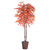  Vickerman TDX3760 6ft Artificial Orange Maple Tree in Pot 