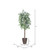  Vickerman TEC0260-RB 6ft Variegated Artificial Ficus Tree in Pot 