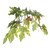  Vickerman TEC1760-RB 6ft Artificial Frosted Maple Tree in Pot 
