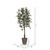  Vickerman TEC1760-RB 6ft Artificial Frosted Maple Tree in Pot 