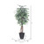  Vickerman TEX0260-RG 6ft Variegated Artificial Ficus Tree in Pot 